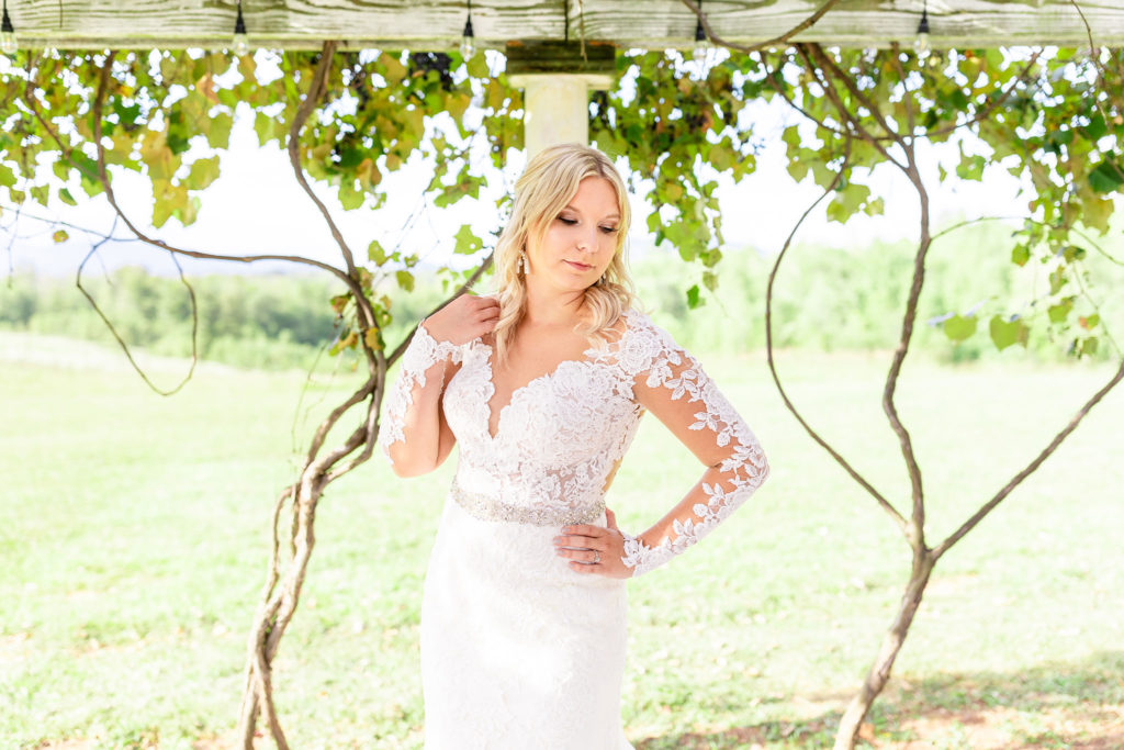 Lace Sleeves Wedding Dress Lynchburg Wedding Photographer
