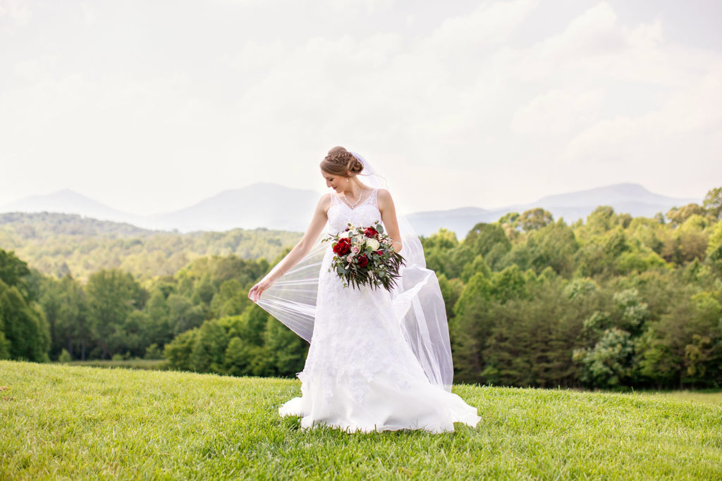 Lace Sweetheart Wedding Dress Lynchburg Wedding Photographer